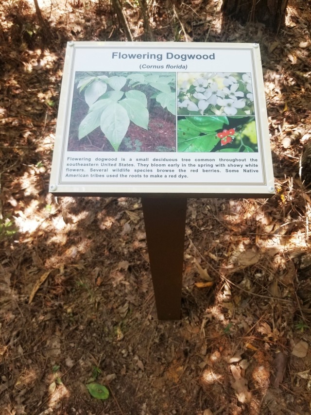 The flowering Dogwood sign is one of 31 new signs posted along the Marion Bonner nature trail next to native Louisiana trees and plants. The signs are part of the recent improvements made to the nature trail.