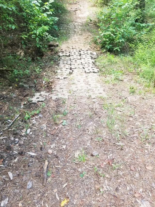 Stones lining a low area along the nature trail path were straightened to improve safety and keep feet from getting muddy as people walk the trail in wetter weather.