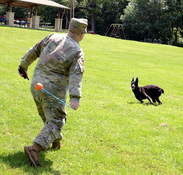 Spc. Levi Patterson, 67th Military Police Detachment (Military Working Dog), Special Troops Battalion, plays with MWD Zera to "just let her be a dog" before performing a demonstration of skills Aug. 4 at Hunt Lodge. Patterson and Zera and two other teams from the detachment successfully completed annual certification last week. Photo by Prudence Siebert/Fort Leavenworth Lamp