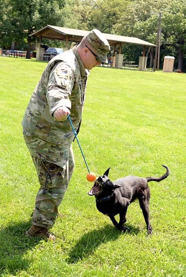 Spc. Levi Patterson, 67th Military Police Detachment (Military Working Dog), Special Troops Battalion, plays with MWD Zera to "just let her be a dog" before performing a demonstration of skills Aug. 4 at Hunt Lodge. Patterson and Zera and two other teams from the detachment successfully completed annual certification last week. Photo by Prudence Siebert/Fort Leavenworth Lamp