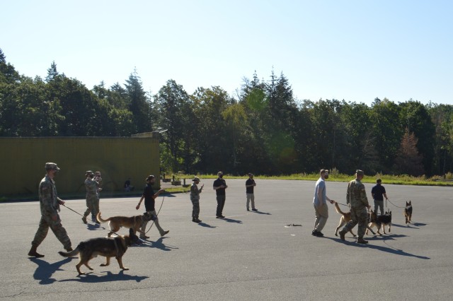mwd military