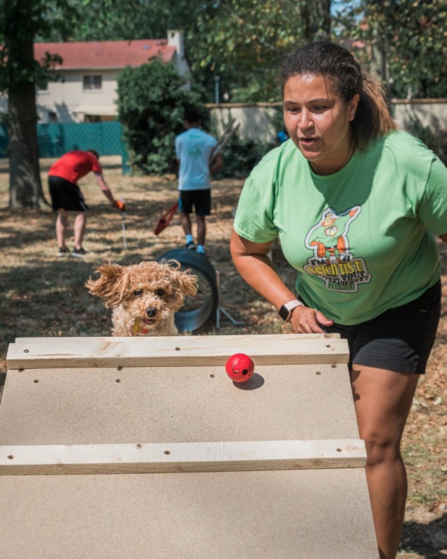 WIESBADEN, Germany – Jaime Nairn’s dog, Korea, chases a ball over the ramp portion of the newly completed agility obstacles at the dog park on Clay Kaserne Aug. 12, 2020.