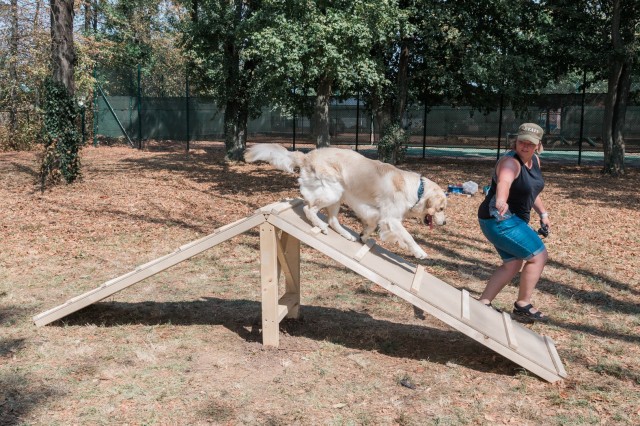 WIESBADEN, Germany – Jennifer Fligor encourages her dog, Beau, to navigate the ramp portion of the newly completed agility obstacles at the dog park on Clay Kaserne Aug. 12, 2020.