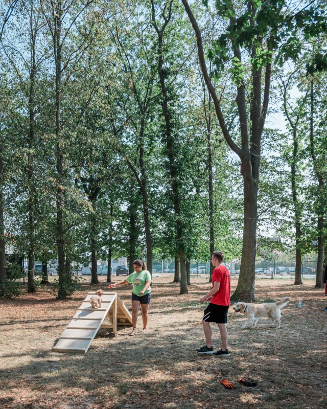 WIESBADEN, Germany – Tyler Houk watches Jaime Nairn and her dog, Korea, use the ramp portion of the newly completed agility obstacles at the dog park on Clay Kaserne Aug. 12, 2020.