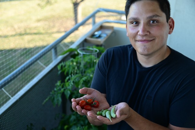 Balcony gardening grows popular during COVID