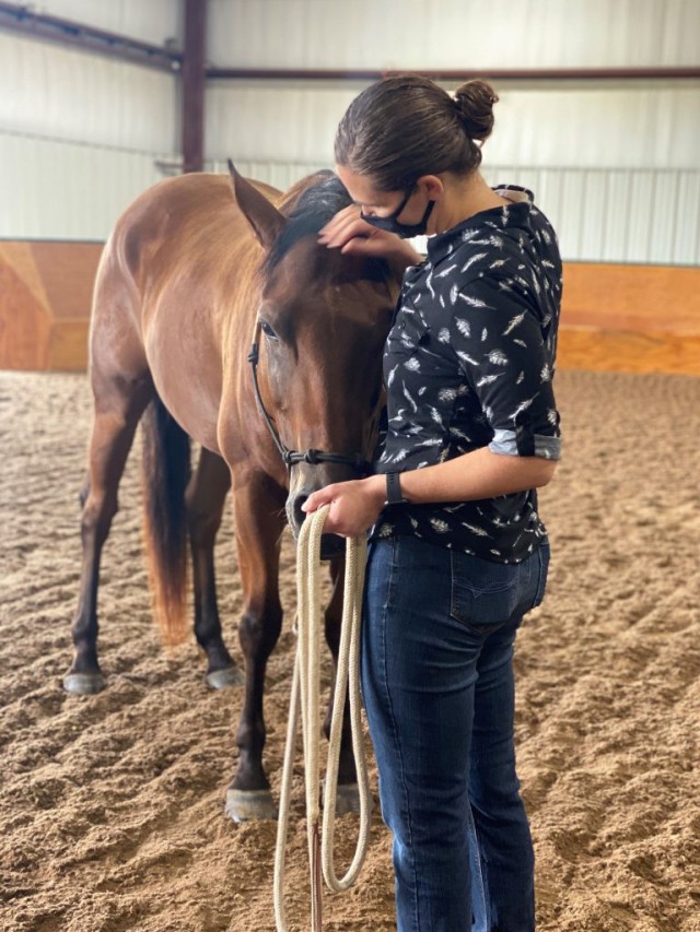 Command teams learn about resilience training at horse park