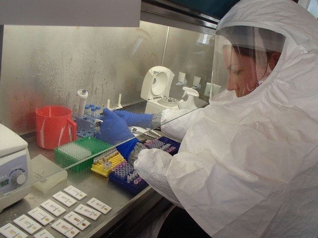 Ebola testing