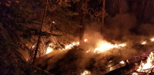 Wildland fires burn during a mid-August night near Susanville, Calif. A series of wildland fires has destroyed more than 30,000 acres of land around Susanville.