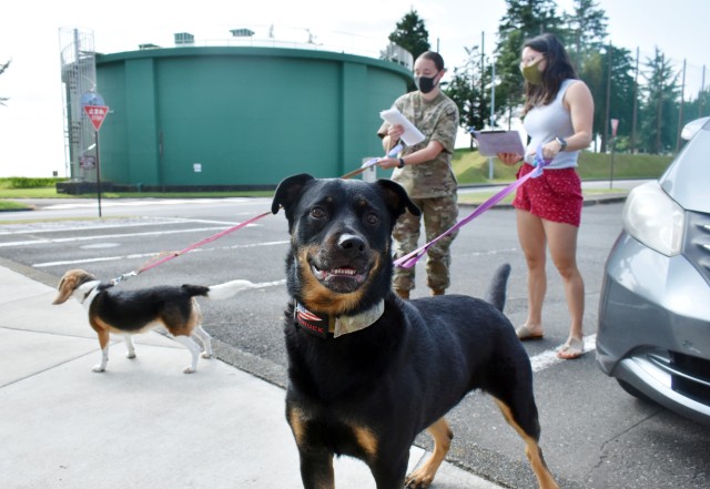 Roxy, center, a shepherd mix, arrives at the Camp Zama Veterinary Treatment Facility, for an appointment with Layla, a beagle, at Camp Zama, Japan, Aug. 25. Cpl. Madison Green, back left, an animal care specialist assigned to the facility, and Carolina Chong, owner of Roxy and Layla, discuss the appointment.