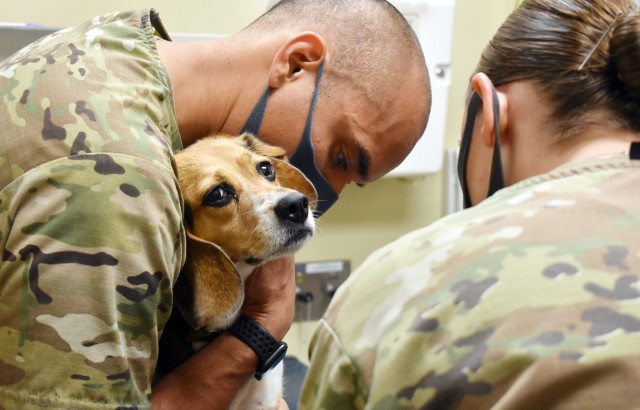 Spc. Miguel Lucio, left, an animal care specialist assigned to the Camp Zama Veterinary Treatment Facility, holds Layla, a beagle, during an appointment at the facility at Camp Zama, Japan, Aug. 25.