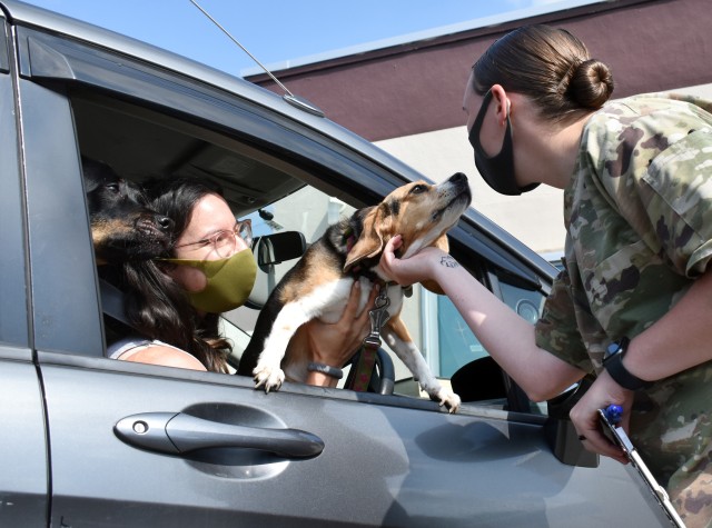 Cpl. Madison Green, right, an animal care specialist assigned to the Camp Zama Veterinary Treatment Facility, greets Layla, a beagle, at the clinic at Camp Zama, Japan, Aug. 25. Carolina Chong, Layla’s owner, and Roxy, a shepherd mix, look on.