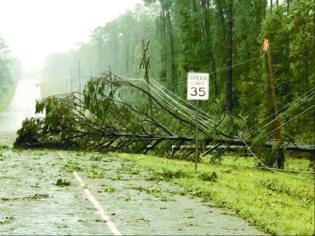 Downed trees and power lines dotted the Fort Polk landscape following Hurricane Laura.
