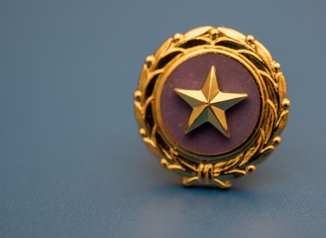 Gold Star lapel pin