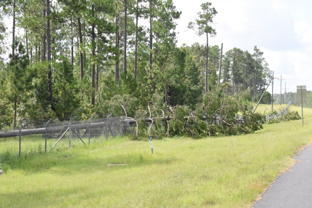 The perimeter fence of the Joint Readiness Training Center and Fort Polk was damaged in numerous places by falling trees, the result of Hurricane Laura’s 130 miles per hour winds.