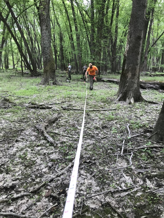 La Crescent, Minnesota, environmental section staff oversee the layout of a grid to evenly space trees, near New Albin, Iowa, May 21.