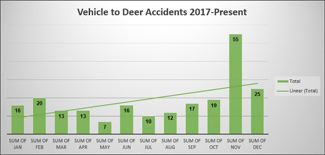 Watch out for deer on the road