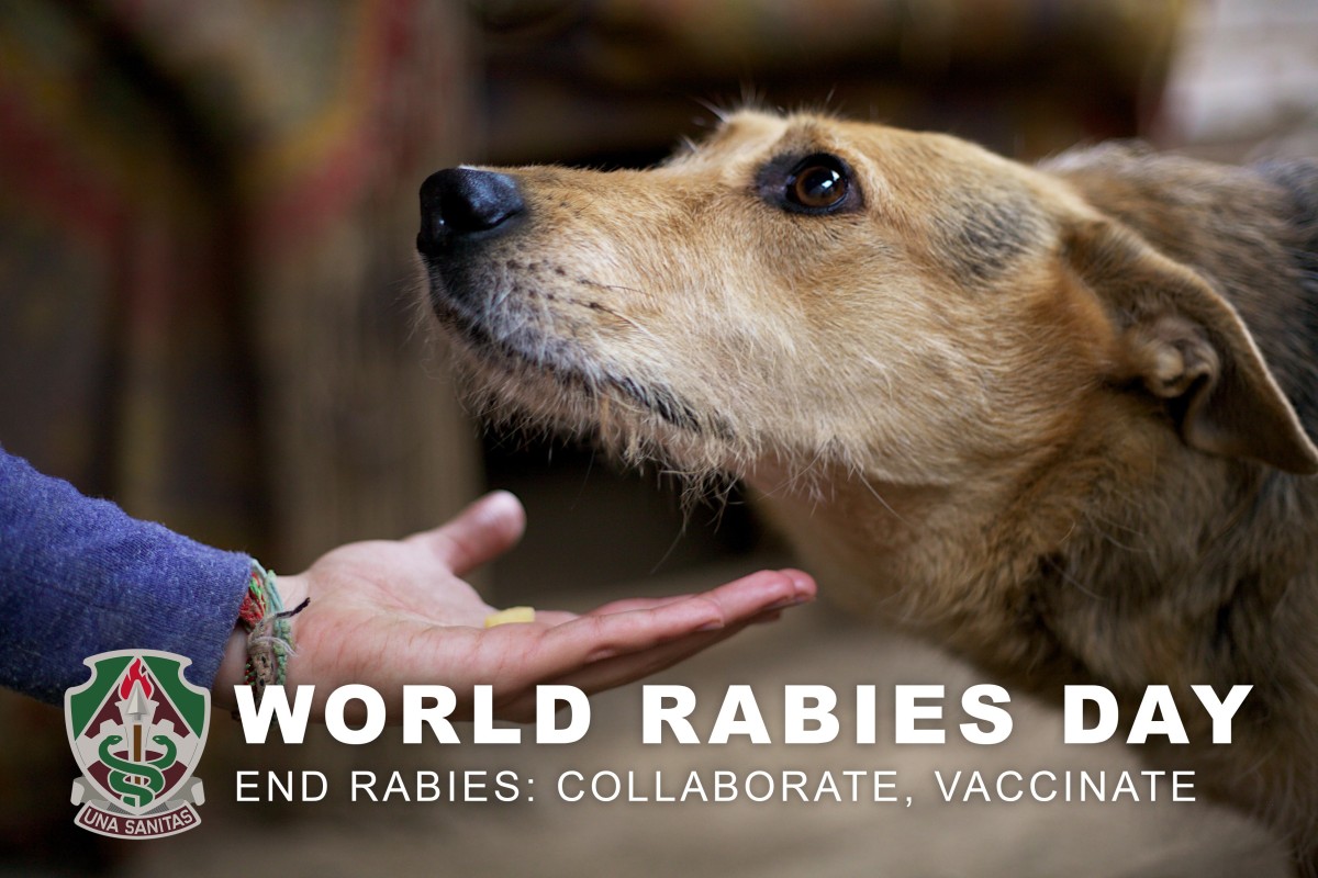World Rabies Day How military communities can help end rabies