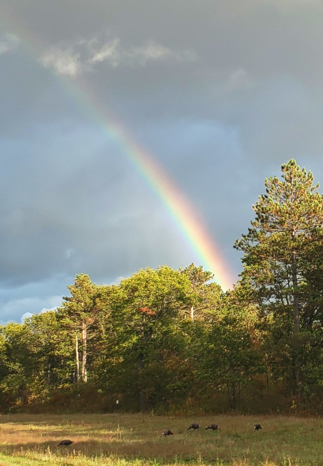 A rainbow is shown around 6 p.m. on Sept. 28, 2020, near Fort McCoy, Wis., after an isolated rain shower. Located in the heart of the upper Midwest, Fort McCoy is the only U.S. Army installation in Wisconsin. The installation has provided support...