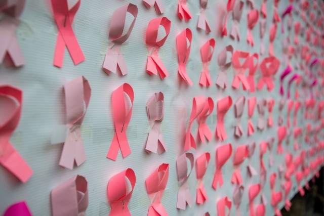 Pink ribbons, the official symbol of breast cancer awareness, line a display at the Do it in Pink Aerobathon at Fort Jackson Sept. 26.