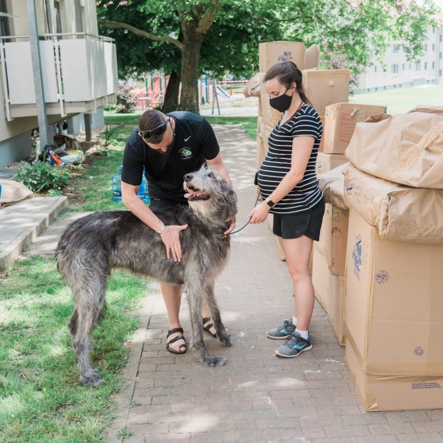 Lt. Col. David Chapman and his expectant wife, Jaime, with their 152 pound Irish wolfhound, Wally, during their household goods pack out May 20, 2020.