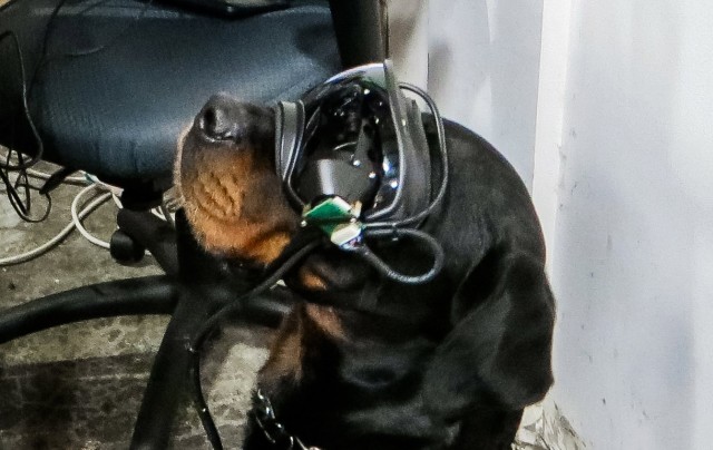 These augmented reality goggles are specially designed to fit each military working dog with a visual indictor that allows the dog to be directed to a specific spot and react to the visual cue in the goggles. The handler can see everything the dog sees to provide it commands through the glasses.