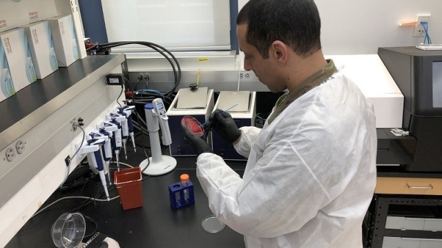 Maj. Anthony Jones, Walter Reed Army Institute of Research, streaks bacteria on a petri dish.