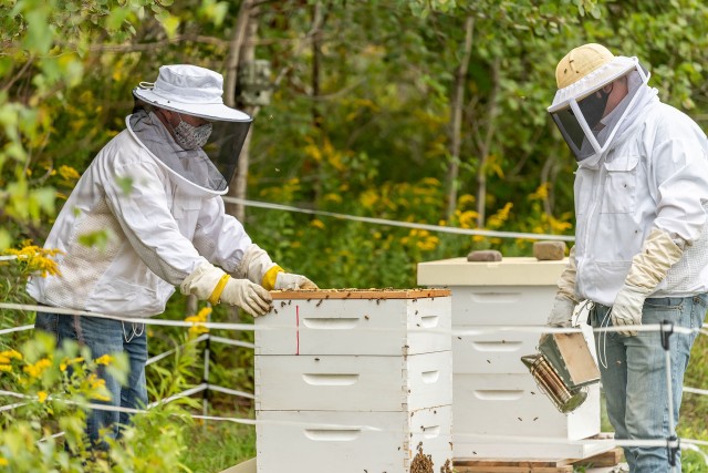 Environmental Protection Specialists Sean Maynard, left, and Matt Argust close up the hive after inspection.