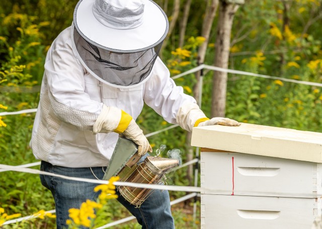 Environmental Protection Specialist Sean Maynard uses a smoker to sedate the honey bees prior to opening the hive.
