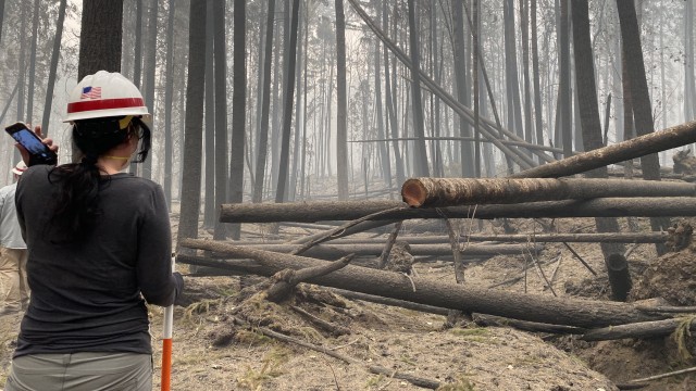 Erica Medley, a dam safety geologist with Portland District, U.S. Army Corps of Engineers, makes her way through thick smoke and fallen trees as she surveys damage on site at Blue River Dam Sept. 14. Medley joined a multi-disciplinary team of...