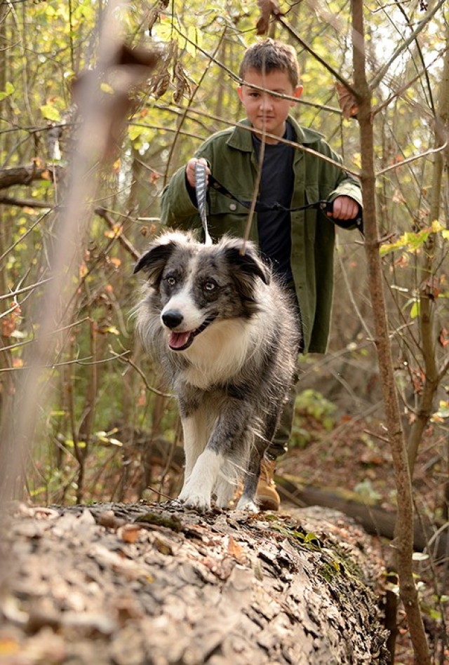 Ten-year-old Foster Merrill navigates a large fallen tree with miniature Australian shepherd Gracie as Military Wild hikers traipse toward the state champion pecan tree off a trail near the Missouri River Oct. 17 by Sherman Army Airfield. Photo by...