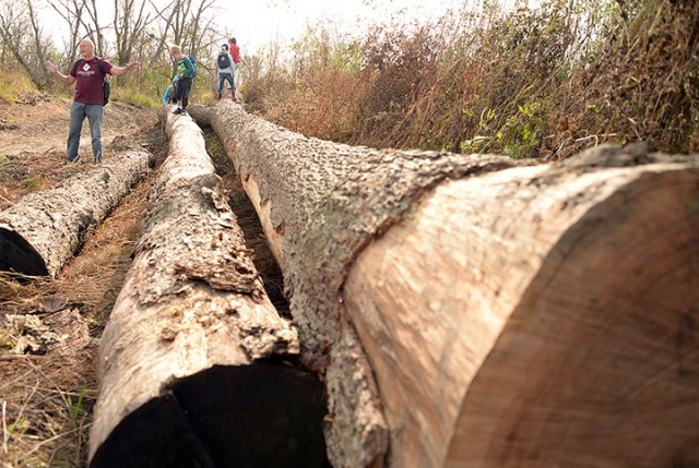 Natural Resources Specialist Neil Bass shares the possible use of a large 140-plus-year-old fallen tree of turning it into a conference table before setting off on a Military Wild hike through the floodplain trail Oct. 17 near Sherman Army...