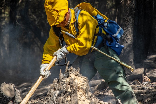 Spc. Jesus Ramos with the 14th Brigade Engineer Battalion, Joint Base Lewis-McChord, Washington, strikes a tree stump with his Pulaski during mopup operations in Mendocino National Forest, Nothern California, Friday, Sept. 4, 2020. Mopup...