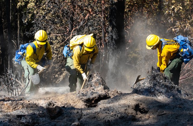 Soldiers with the 14th Brigade Engineer Battalion dig out a hotspot during mop-up operations of the August Complex wildland fire Sept. 4, 2020 in Mendocino National Forest. The Soldiers are conducting mop-up operations to remove burning or...