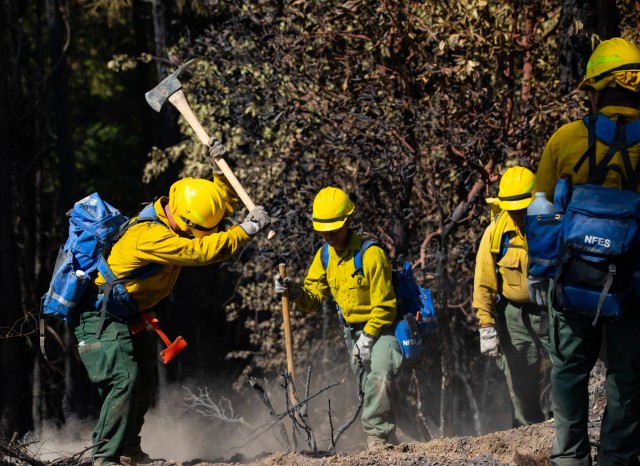 A Soldier with the 14th Brigade Engineer Battalion uses a pulaski tool to remove a root from a hotspot to ensure burning or hazardous materials are cooled down and help prevent a wildfire from reigniting at the August Complex wildland fire Sept....
