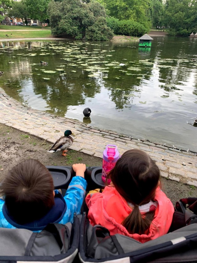 WIESBADEN, Germany-Susanna Baumann's children watch the ducks at Kurpark. Photo provided by Susanna Baumann.