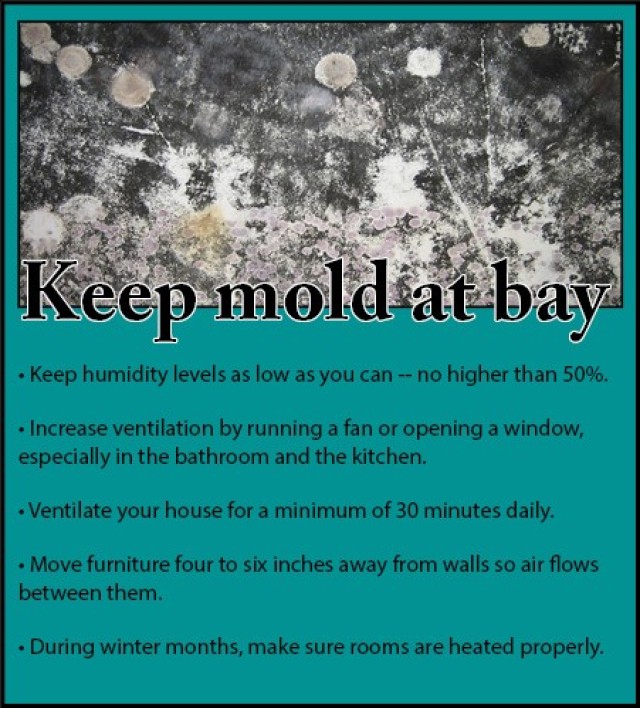 Mold is a common phenomenon and can be found in many homes. It can, however, be controlled with a few easy measures.