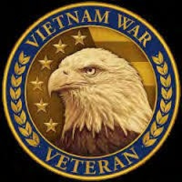 Vietnam Veteran Lapel Pin