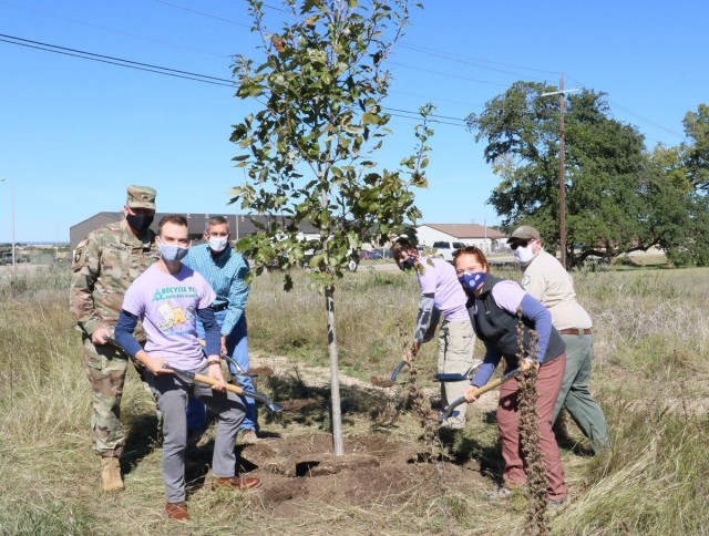 Tree planting