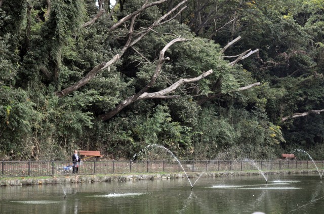 A contestant fishes at Dewey Pond during the Community Trout Fishing Derby at Camp Zama, Japan, Nov. 7.