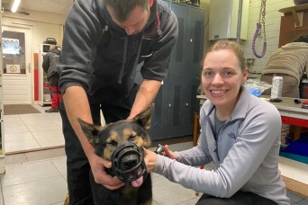 PHC-C and PHC-E veterinary services team up, select best dogs for military service
