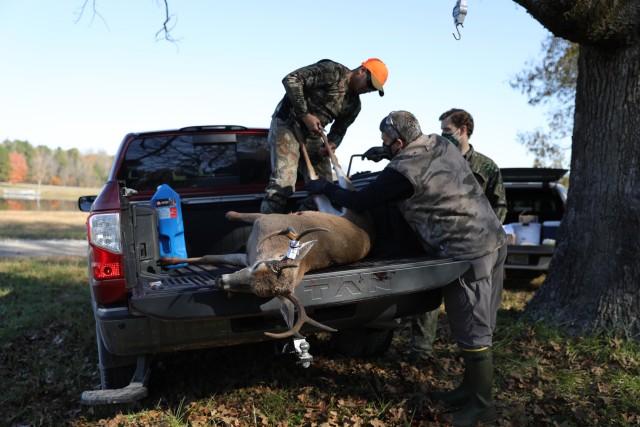 Gene Zirkle, wildlife biologist, Environmental Division, Directorate of Public Works, and Jona-than Mills, manager of the Hunting and Fishing Program, DPW, help a hunter prepare his har-vested deer to be weighed, Nov. 6, at the second annual Commanding General Deer Hunt, host-ed by Maj. Gen. Brian E. Winski, commanding general of the 101st Airborne Division (Air As-sault) and Fort Campbell at Lake Kyle.