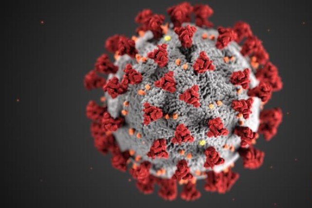 This illustration reveals ultrastructural morphology exhibited by coronaviruses. A novel coronavirus, named Severe Acute Respiratory Syndrome coronavirus 2 was identified as the cause of an outbreak of respiratory illness first detected in Wuhan,...