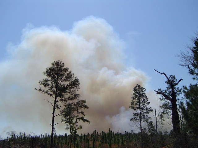 FORT BENNING, Ga. – In a March 2004 photo, smoke rises here from a prescribed burn , a fire set and carefully controlled by experts, in which deadwood and other forest debris is burned. The fires reduce interruptions to military training and help Fort Benning's plant and animal life. Before such burns are scheduled, officials here carefully study weather data, including forecasts as to wind direction, and avoid burning at times or in places that might lead to smoke carrying to local homes, hospitals, schools, businesses, roadways, or airports.
(U.S. Army photo courtesy of Directorate of Public Works, U.S. Army Garrison Fort Benning)