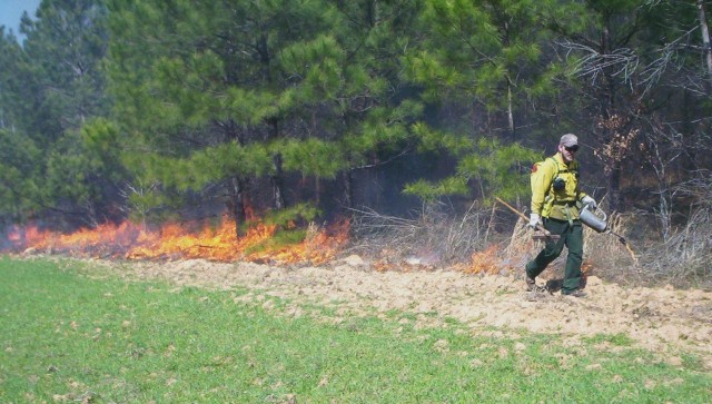 FORT BENNING, Ga. – In a March 2006 photo, a member of a Fort Benning woodland burn crew lays down fire during a controlled burn of unwanted foliage in one of the post's many military training areas. Each year from December through May, Fort Benning conducts expertly controlled burns of deadwood and other debris on the forest floor. Such fires can reduce hindrances to military training while also helping Fort Benning's plant and animal life. Before such burns are scheduled, officials here carefully study weather data, including forecasts as to wind direction, and avoid burning at times or places that might lead to smoke carrying to local homes, hospitals, schools, businesses, roadways, or airports.
(U.S. Army photo courtesy of Directorate of Public Works, U.S. Army Garrison Fort Benning)