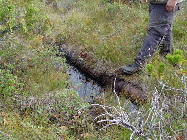 A worker steps onto part of the six-mile pipeline no longer in use on Annette Island. The Metlakatla Indian Community is removing 1,200 feet of the pipeline this year under the Native American Lands Environmental Mitigation Program with assistance...