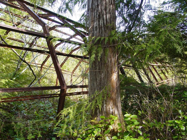 An abandoned Quonset hut sits in a grove of trees on Annette Island. Metal roofs and wood floors were stripped from similar facilities to repurpose, but the structures were abandoned. The U.S. Army Corps of Engineers – Alaska District and...