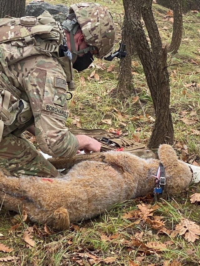 Cpl. Dustin Borchardt, a military working dog handler with the 100th Military Police Detachment, performs emergency care on a dog mannequin during K9 tactical combat casualty care at Camp Bondsteel, Kosovo, on Nov. 21, 2020. He later evacuated the mock casualty to a safe location to provide further treatment while waiting for medical evacuation. (Courtesy photo)