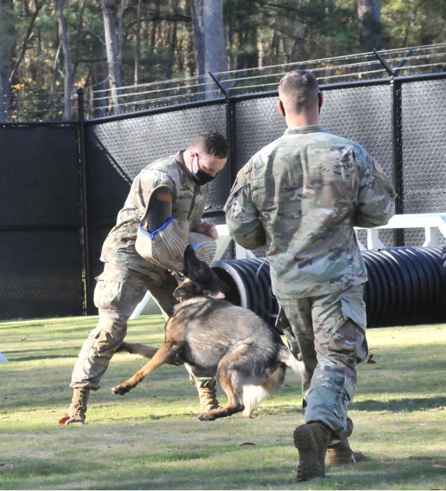 Staff Sgt. Jared Schultz, wearing a bite sleeve, braces himself while Atak clutches his forearm and handler Sgt. Tyler Willig cautiously approaches at the 544th MP Det. obstacle course. Willig is assigned to the 544th MP Det.