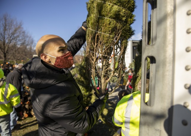 Guard members load holiday trees for military families