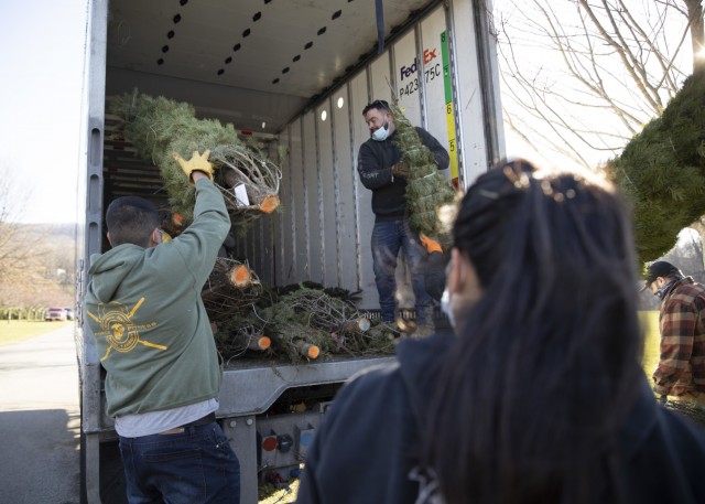 Guard members load holiday trees for military families